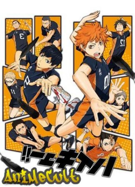 Волейбол плакат хайкью