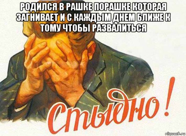 Плакат стыдно товарищ