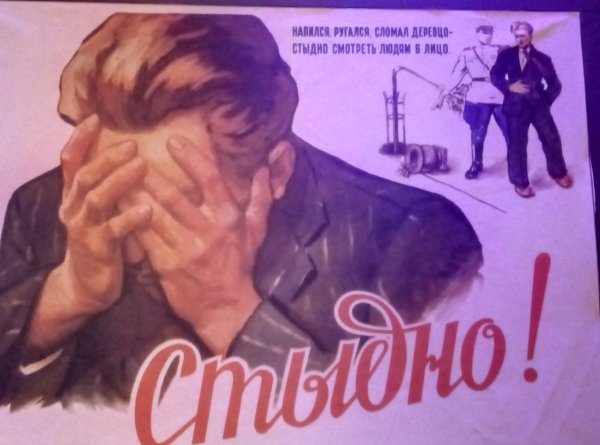 НАПИЛС поломал деревце