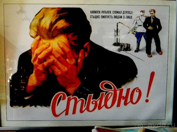 Напился ругался сломал деревцо стыдно плакат