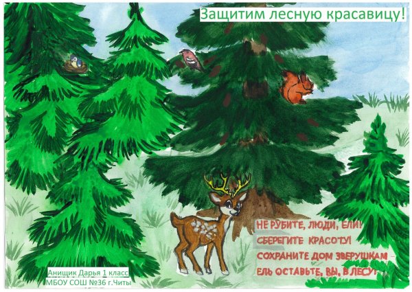 Плакат в защиту ели