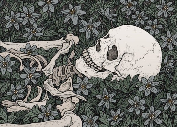 Снусмумрик и Муми Тролль слэш