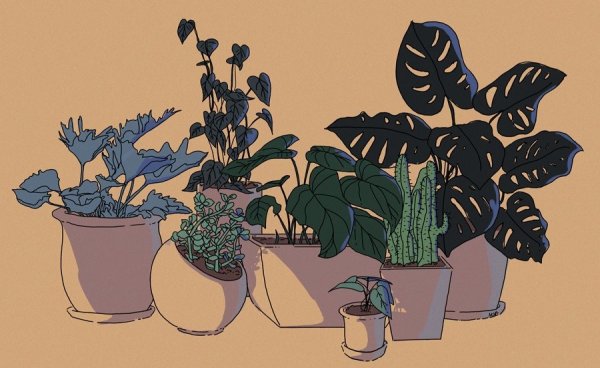 Одежда встиде Гоблин кор