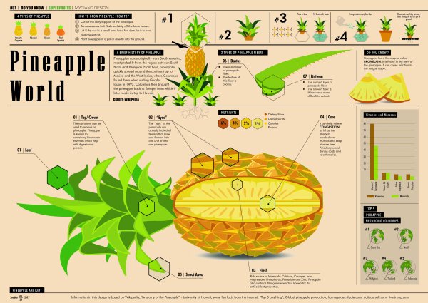 Инфографика люди