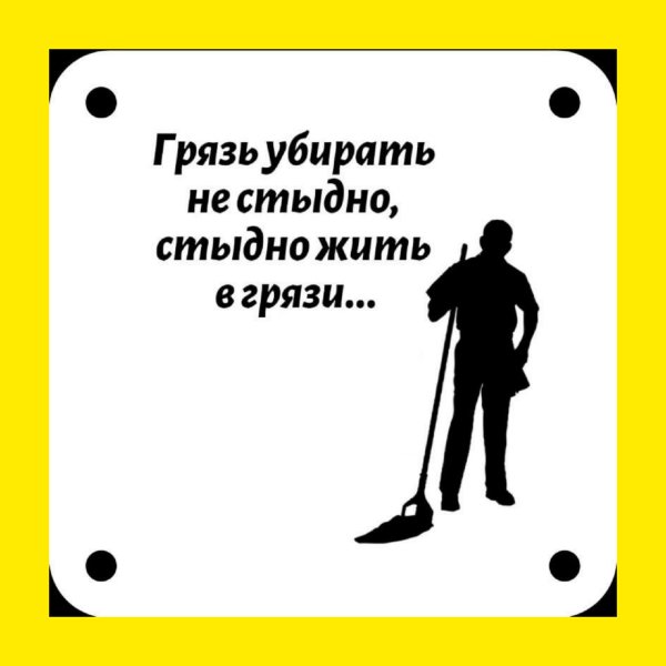 Убирать грязь не стыдно стыдно жить в грязи