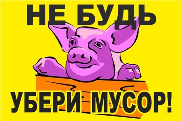 Не мусорить свинья