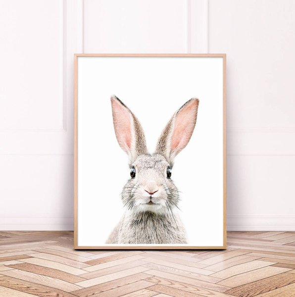 Постер кролик