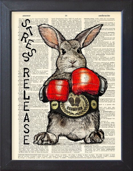 Кролик боксер