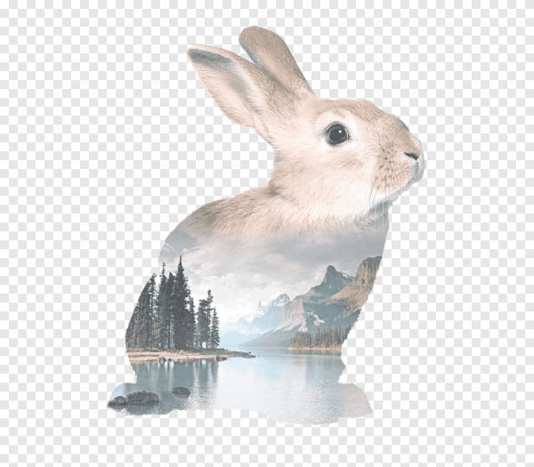 Кролик в скандинавском стиле