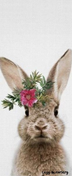 Кролик с венком