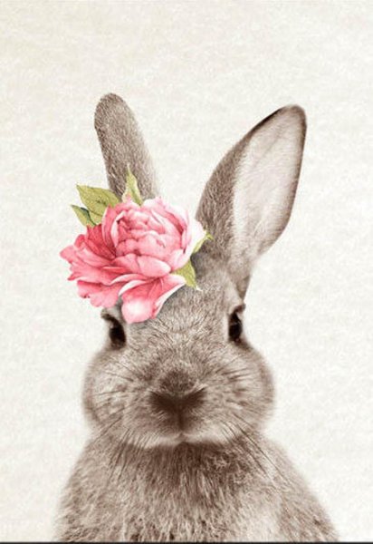 Милые кролики