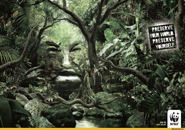 Рисунок save the Rainforest для овощей