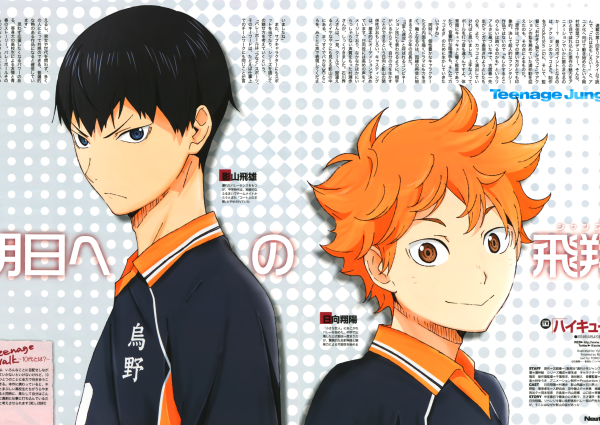 Haikyuu Хината плакат