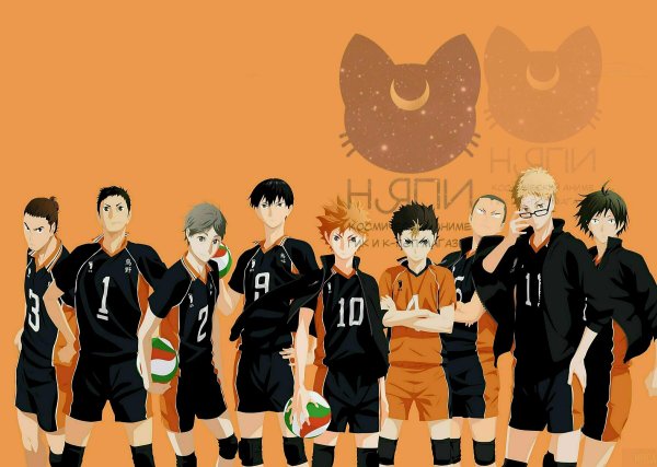 Хайкью Карасуно