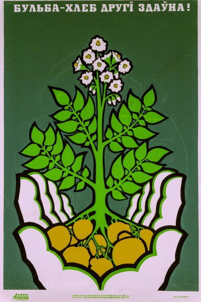 Зелëные плокаты на разных языках