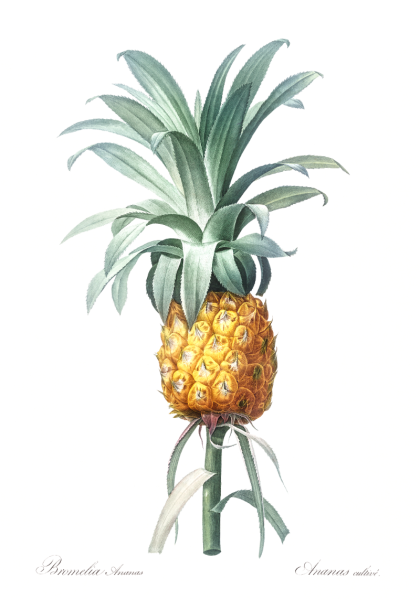 Artfruit ананас