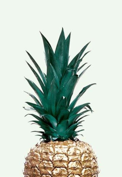 Ананас Постер