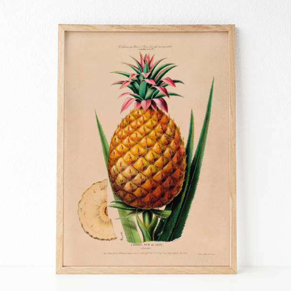 Принт на черном фоне ананас