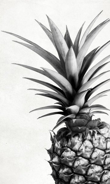 Ананас Постер