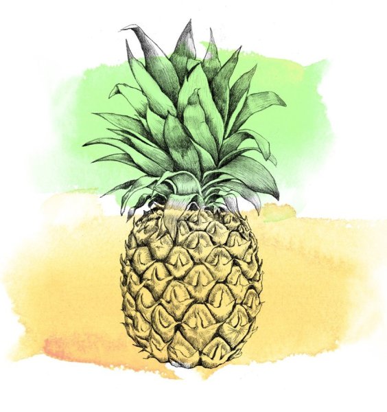 Ананасы в скандинавском стиле