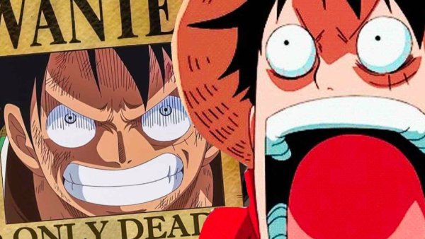 Luffy Bounty