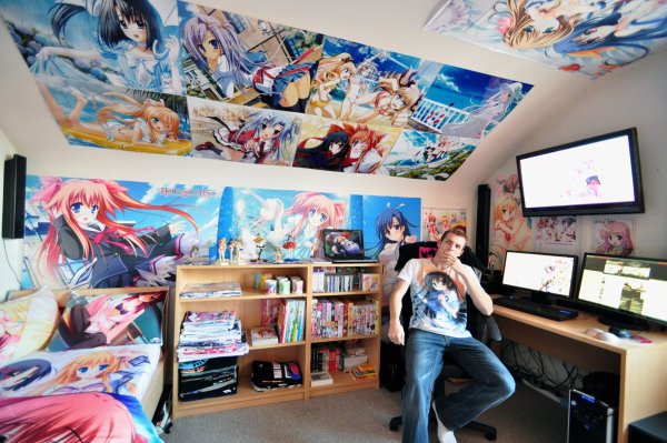 Комната АНИМЕШНИКА