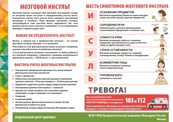 Профилактика инсульта