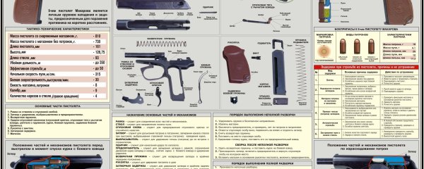 Конструкция пистолета ИЖ 71