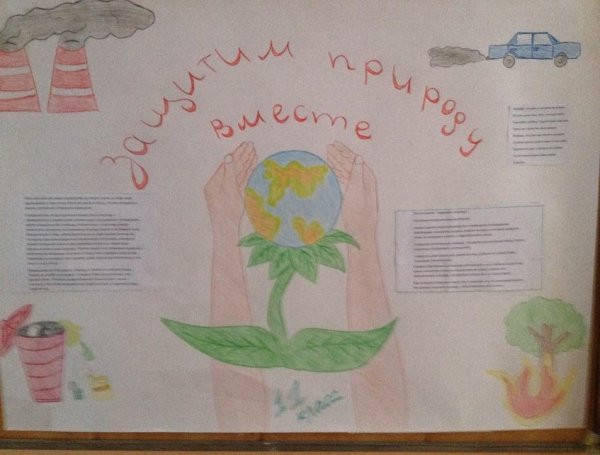 Стенгазета по биологии