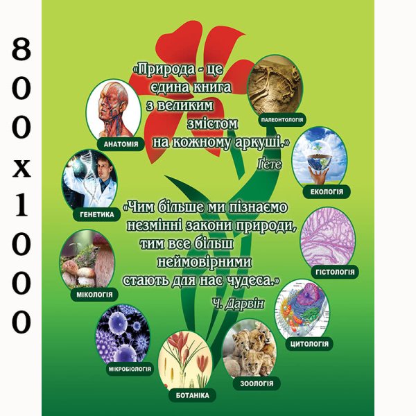 Постер по биологии