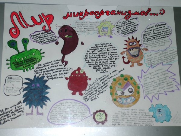 Плакат на тему бактерии