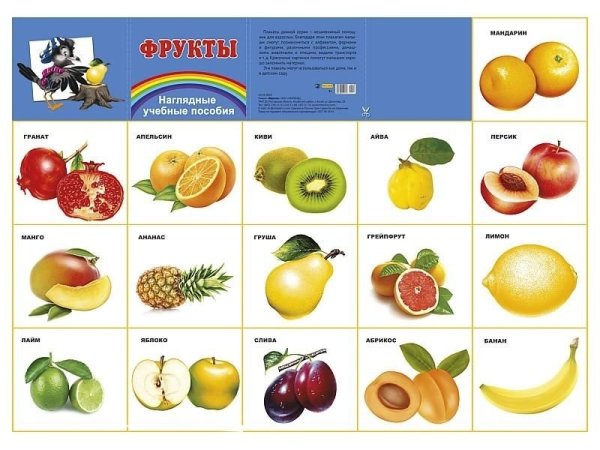 Обучающие плакаты фрукты