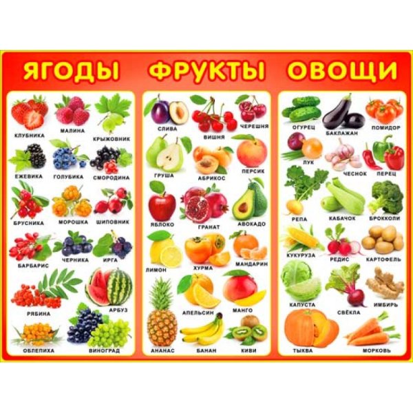 Плакат овощи для детского сада