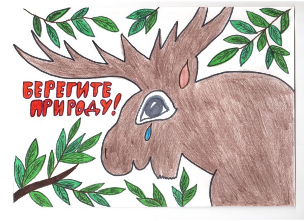 Плаать берегитеживотных