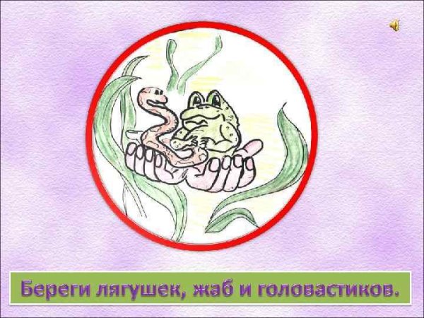 Рисунок на тему заповедник