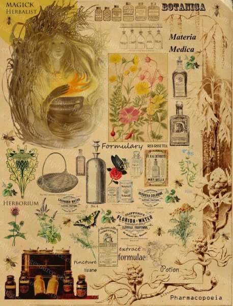 Плакаты из пинтереста в стиле Goblincore