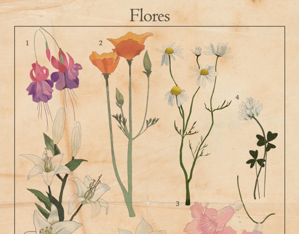 Постеры на стену из пинтереста