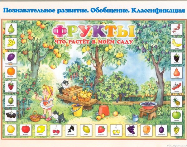 Спорт это жизнь