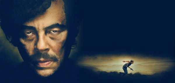 Сломал деревцо стыдно