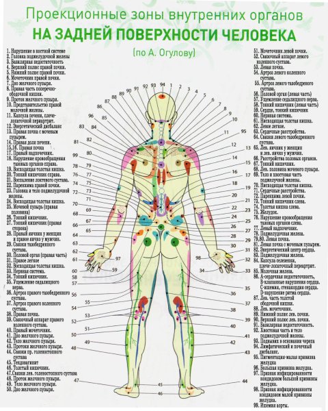Проекционнызоны Огулов