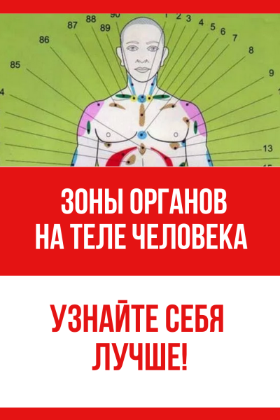 Проекционные зоны на теле человека по Огулову атлас