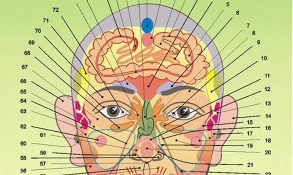 Проекционнызоны Огулов