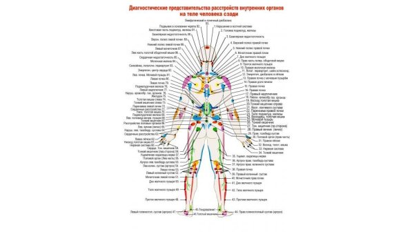 Схема висцерального массажа по Огулову