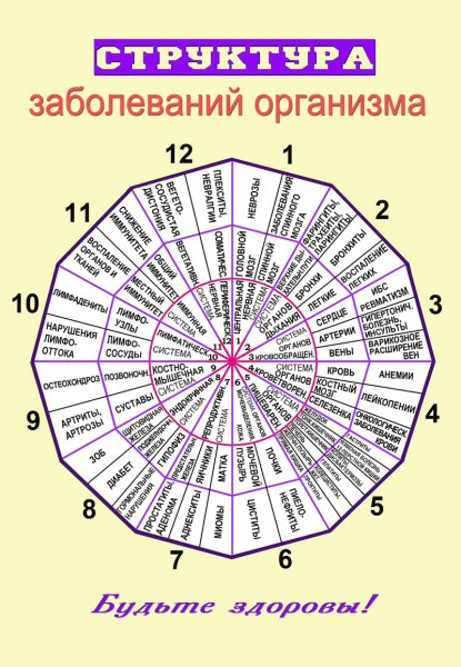Болевые точки человека схема