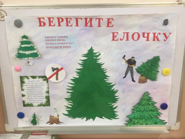Акция берегите елки
