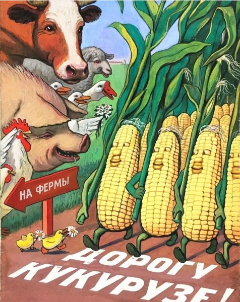 Кукуруза СССР Хрущев