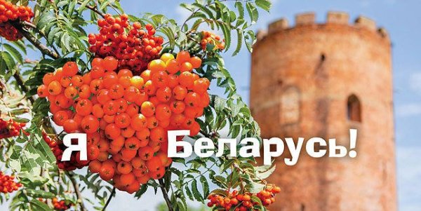 Инфографика референдума 2022