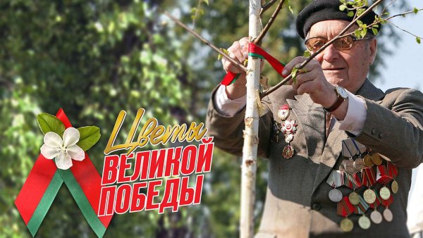 Беларусь помнит