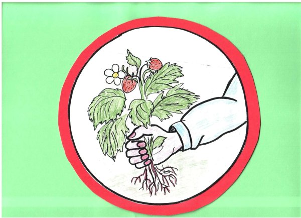 Плакат берегите растения