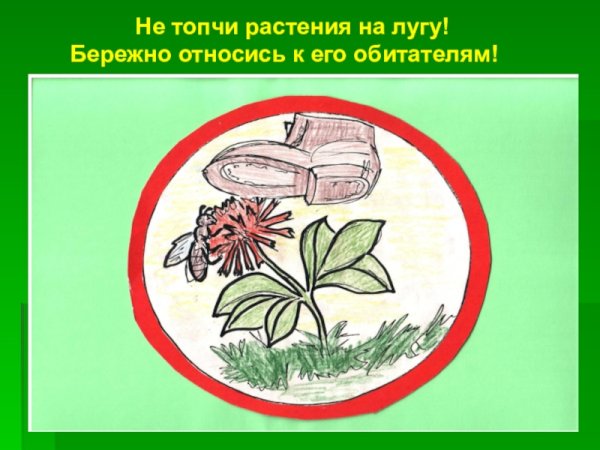 Книжка берегите растения